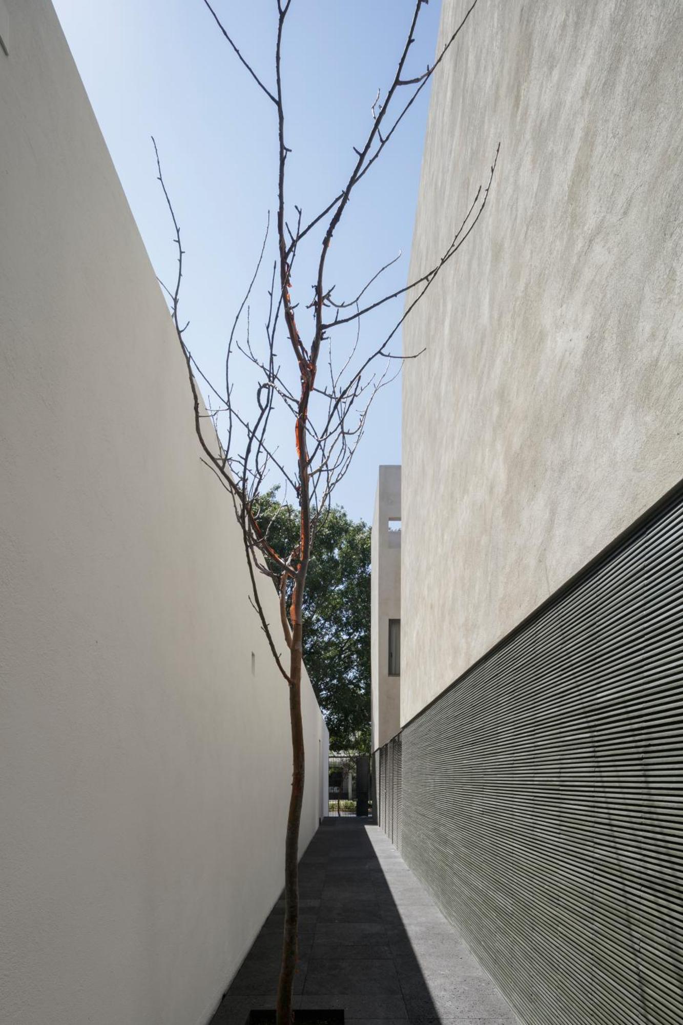 Suites Everness Guadalajara Exteriér fotografie